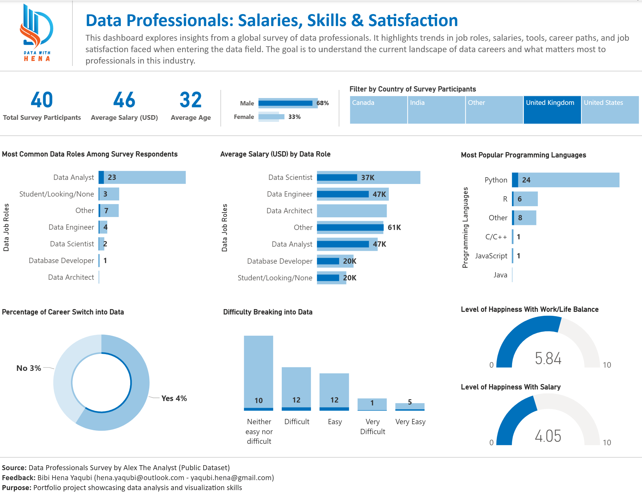 Data Professionals Survey Dashboard - View 3